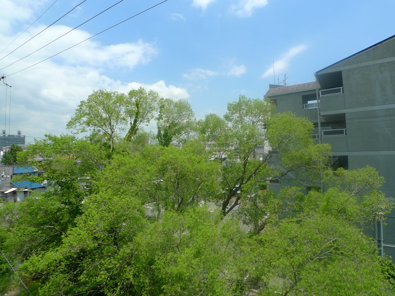 リアライズ加古川Ⅱ その他4