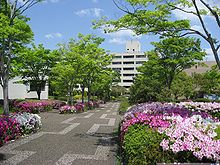 グロワールＢ 周辺画像7