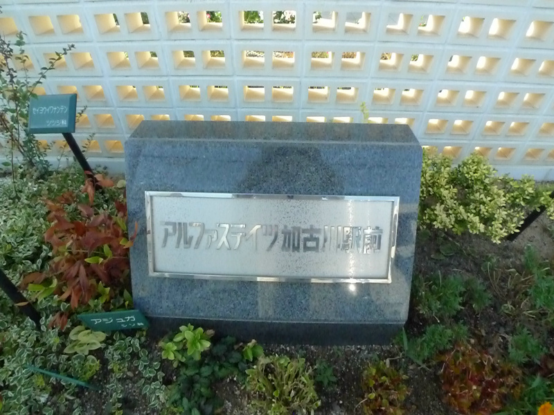 アルファステイツ加古川駅前 その他6