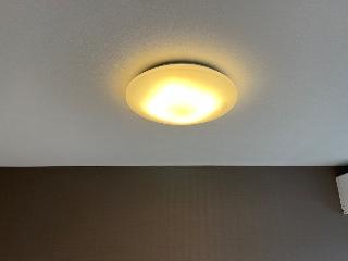 レジーナ・彩 その他15