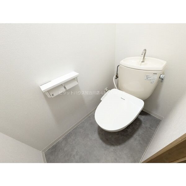 パインコート・SEIWA　Ｂ棟 その他1