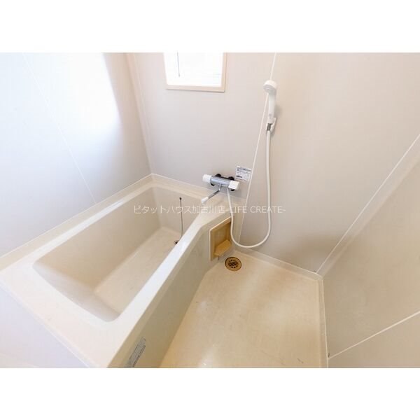 パインコート・SEIWA　Ｂ棟 風呂画像