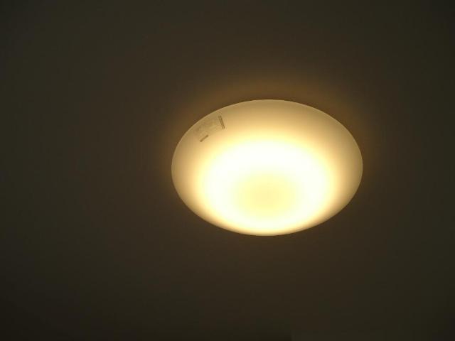 その他16