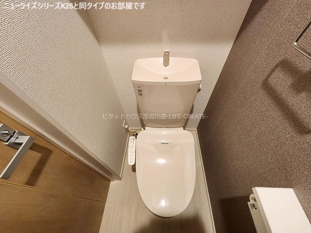 プリムローズ その他1