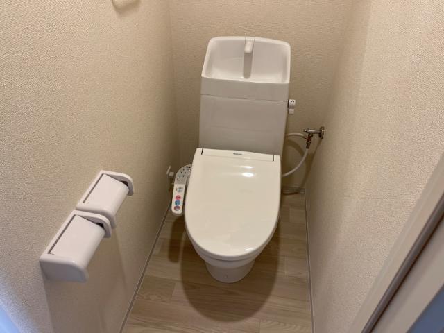 ファラリータ・ノエル その他1