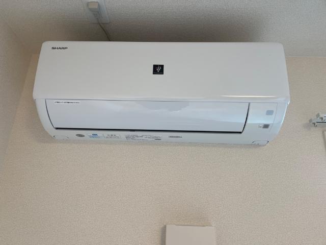 ファラリータ・ノエル その他4