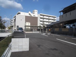 クレイノラ　グラシューズ　Ｍ その他22