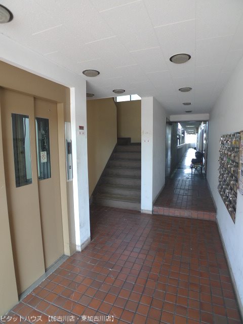 柴田マンション その他4