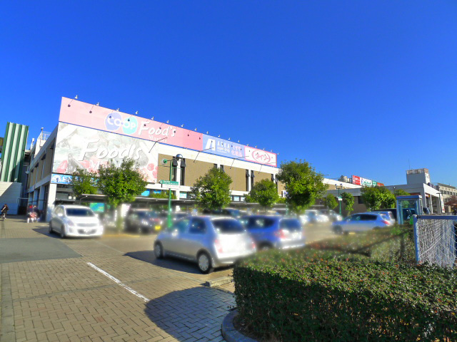 柴田マンション その他7