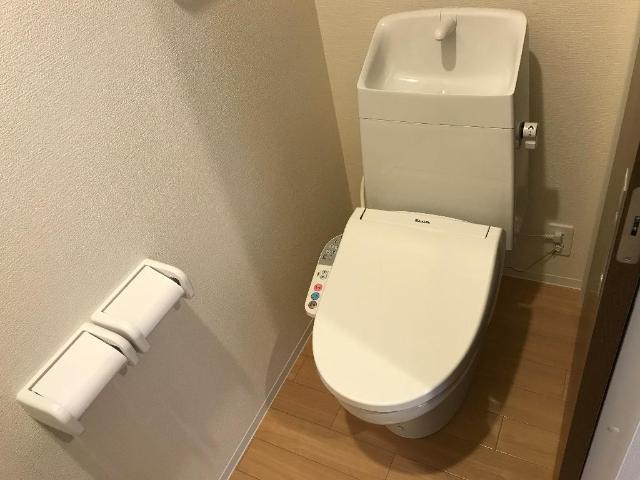 ブルーポム その他1