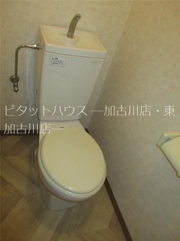 ロイヤルサハホリ その他1