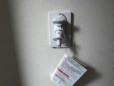 リシアンサス　 その他13