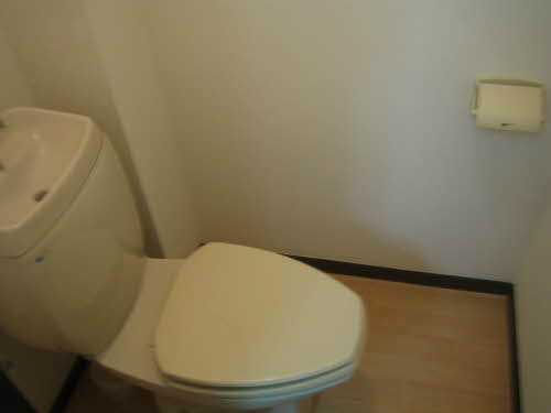 グリーンルミナスＥ その他11