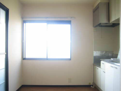 グリーンルミナスＥ その他12