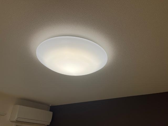 アメイジング　コート その他15