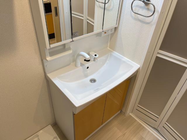 ファラリータ・ノエル その他2