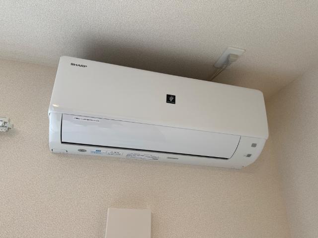 ファラリータ・ノエル その他4