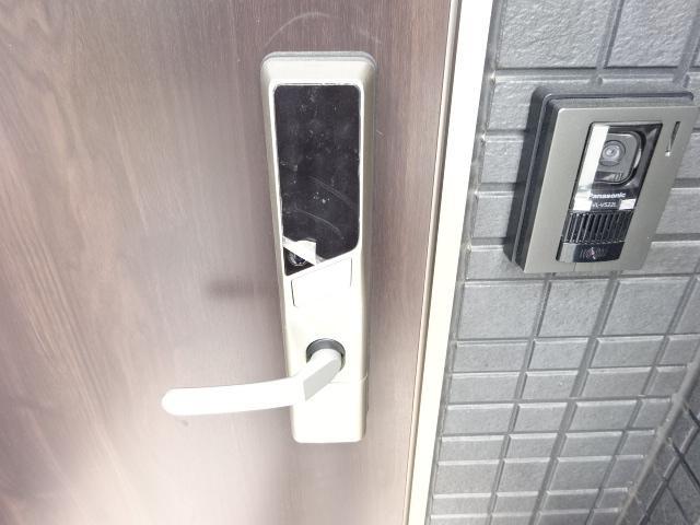 カモミール その他10