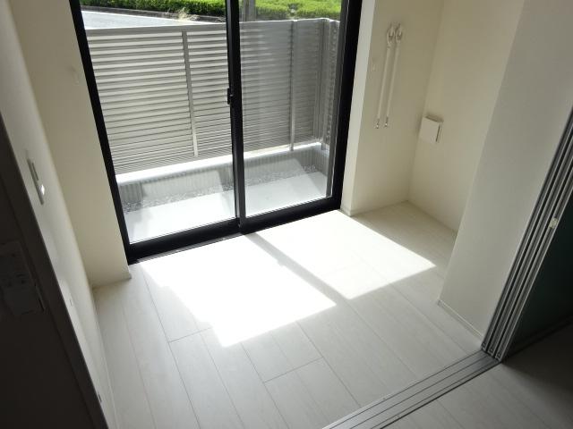 カモミール その他17