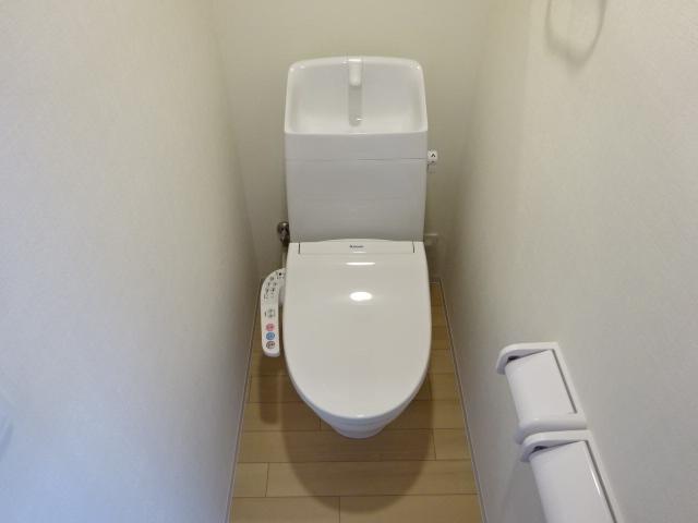 カモミール その他1