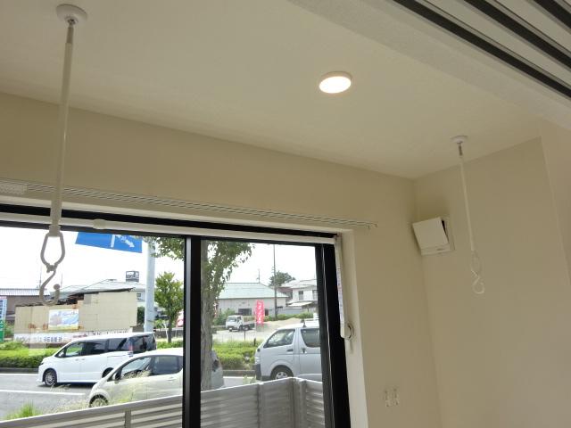 カモミール その他7