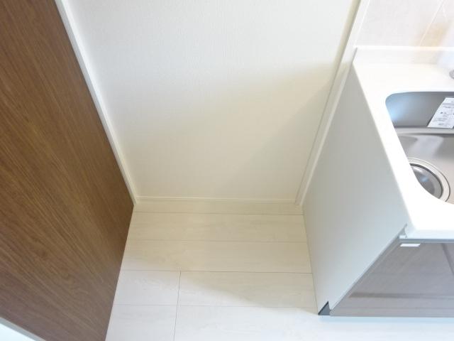 カモミール その他14