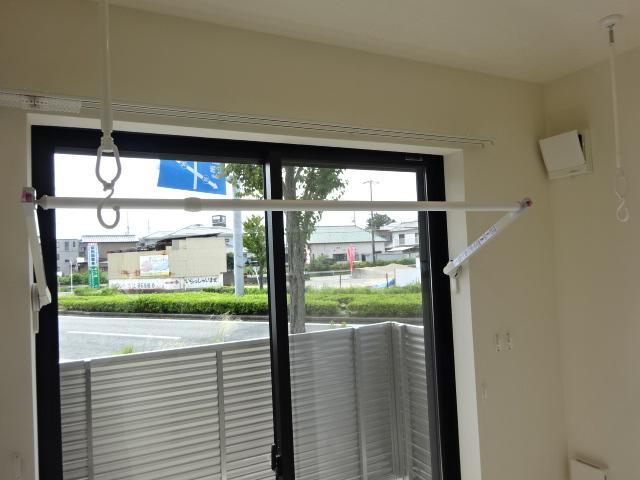 カモミール ベランダ