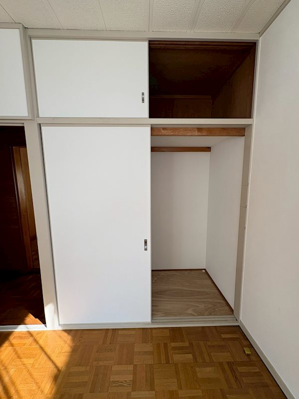 新野辺北町　戸建て その他7