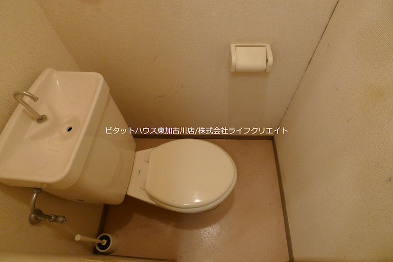 エルパセオⅢ その他3