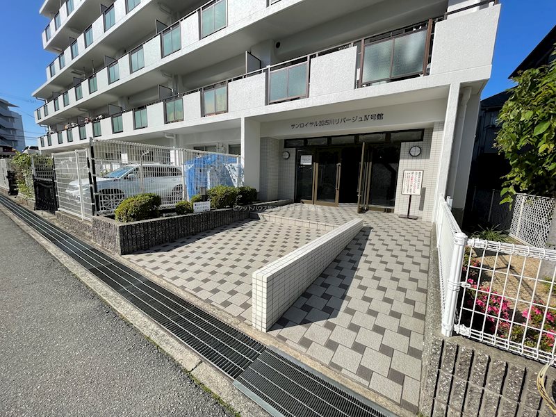 サンロイヤル加古川リバージュ　ＩＶ号館 その他15