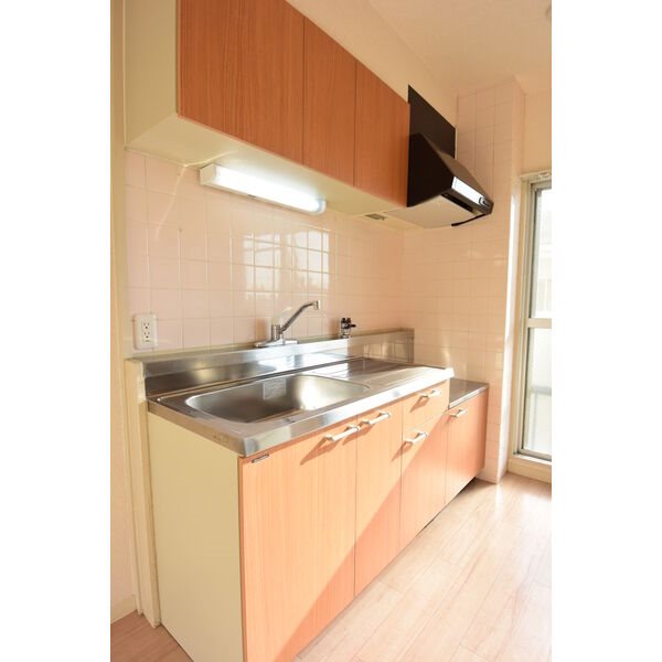 レオパレスI その他1