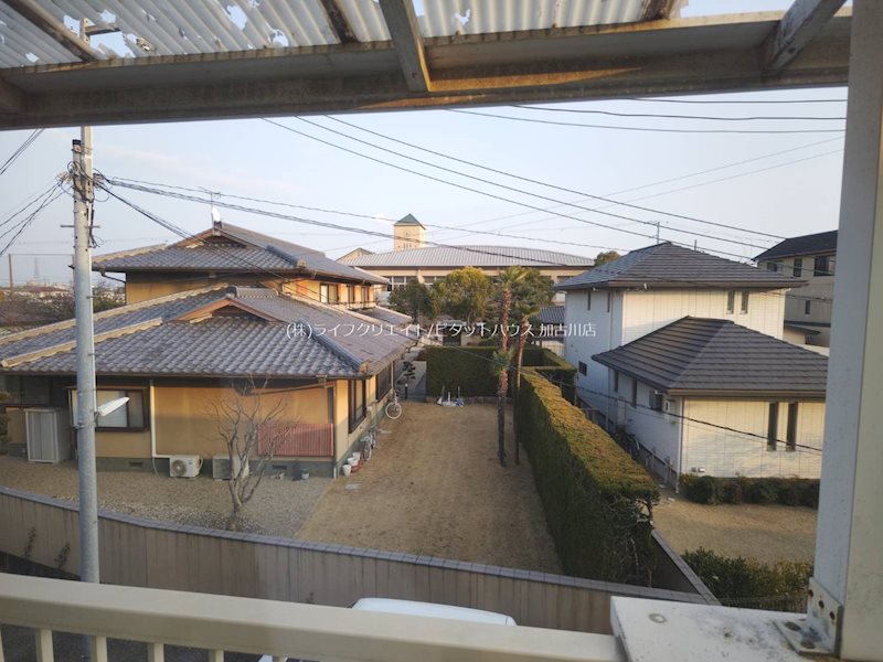 荒井町東本町戸建 (山田邸) その他4