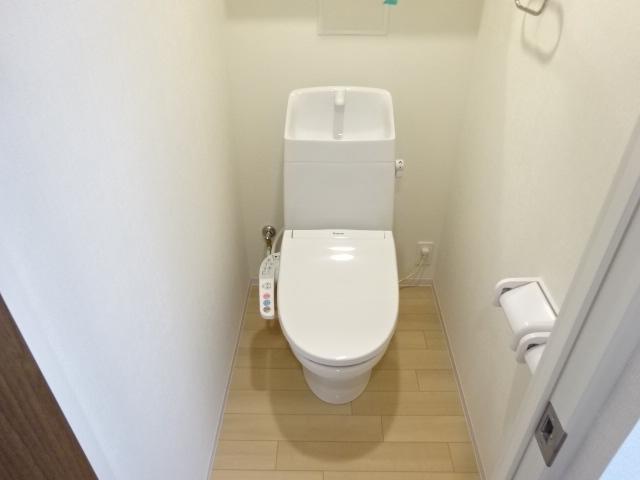 カモミール その他1