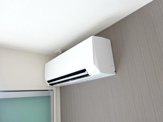 カモミール その他4