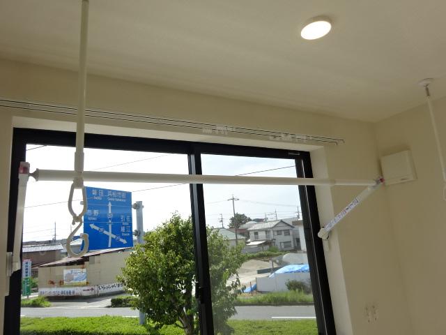 カモミール その他6