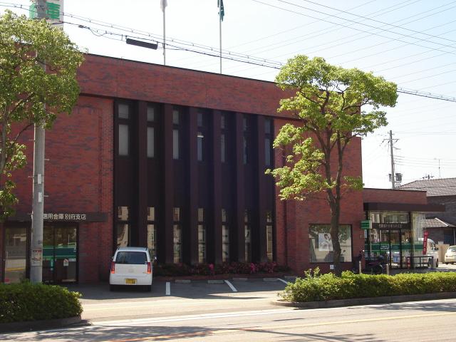 カモミール その他外観6