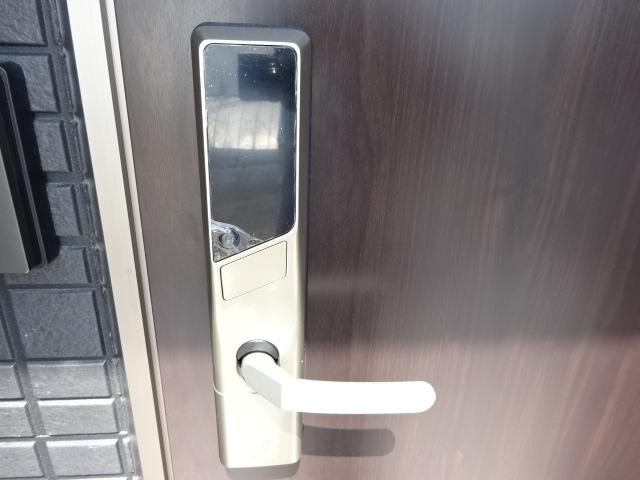 カモミール その他9