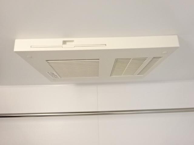 カモミール その他11