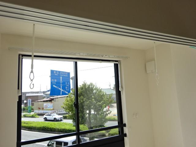 カモミール その他16