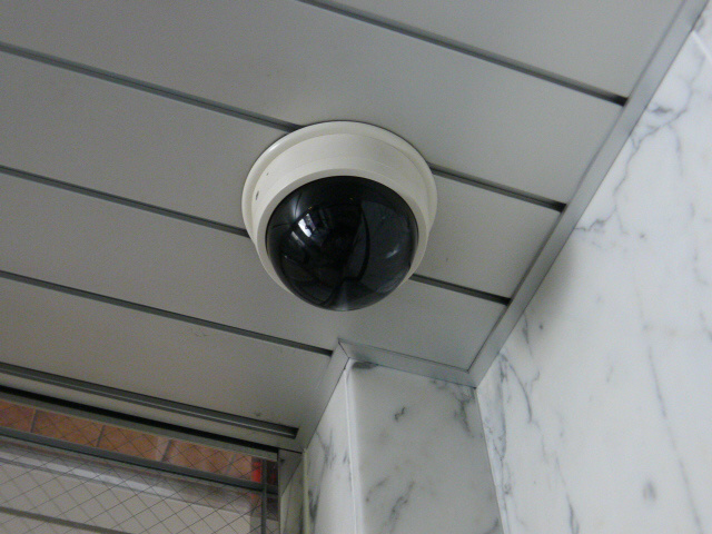 サンロード・スクエア・ショウワ その他5