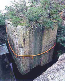 ファーミンスペリオ加古川 その他2