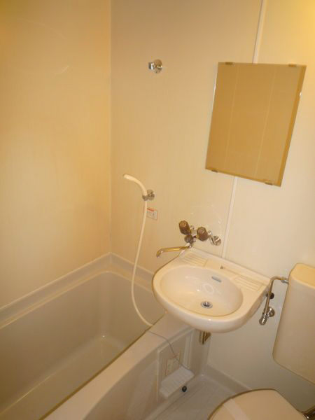 ラフィーネ壱番館 その他1