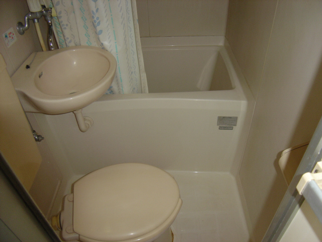 セントポーリア その他1