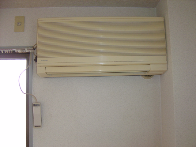 セントポーリア その他3