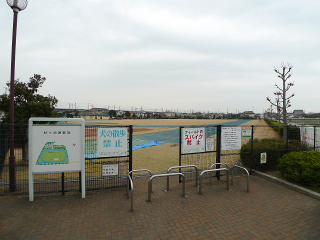 セントポーリア その他8