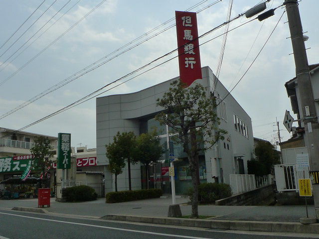 セントポーリア その他11