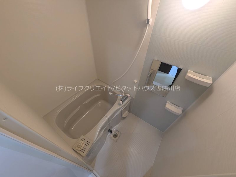 Aruo29 風呂画像