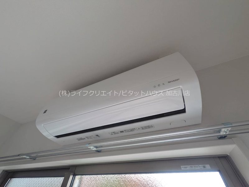 Aruo29 その他3