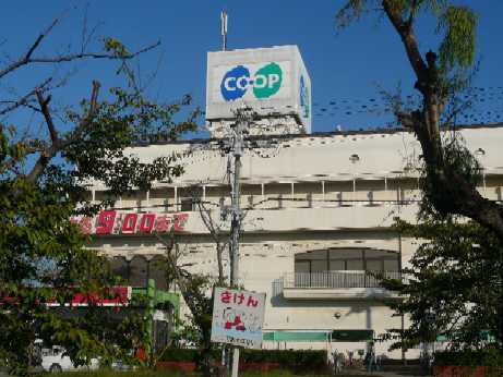 グランベル・ハウス その他外観5