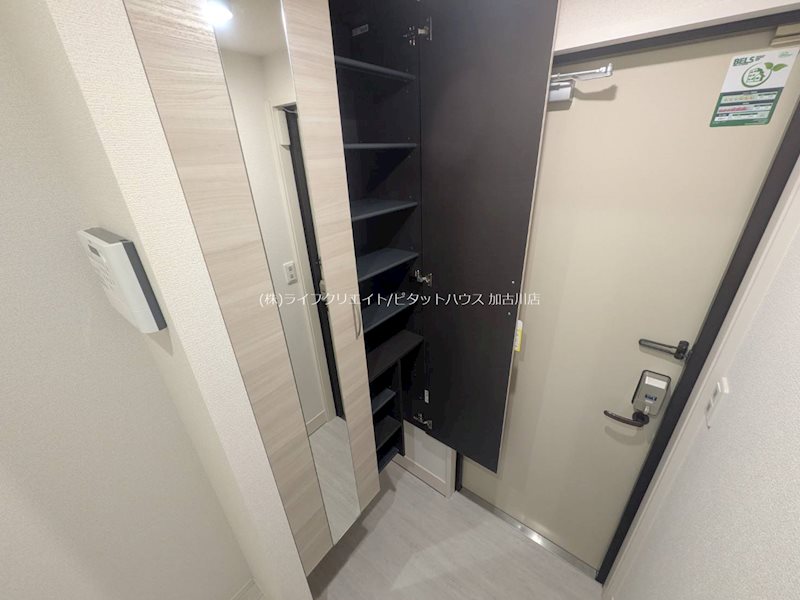 (仮称)D-ROOM播磨町K  玄関